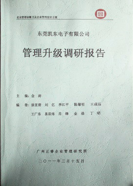 2011年3月15日，正睿咨詢專家向凱東決策層陳述調(diào)研報告
